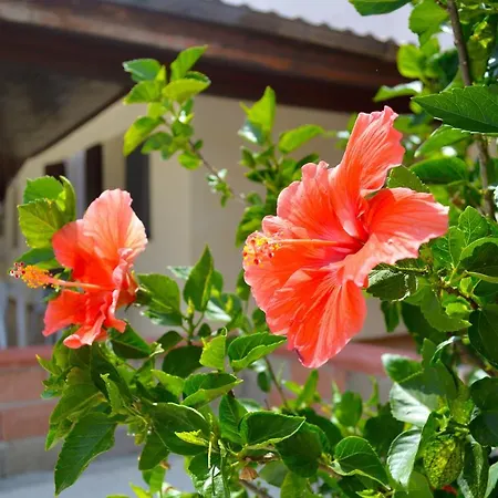 Farm stay Il Sogno Di Una Stella *