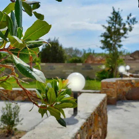 Il Sogno Di Stella *